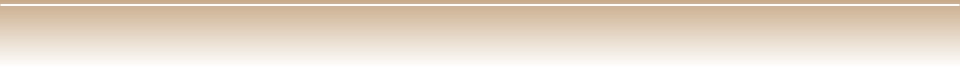 A light brown horizontal footer
